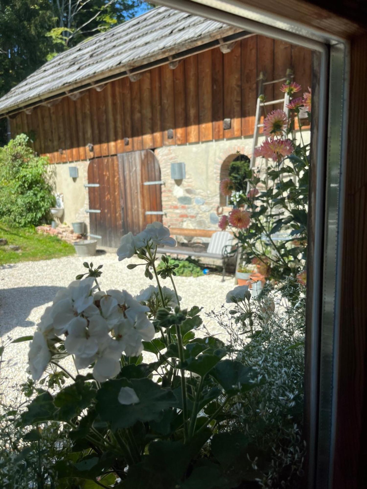 Ferienwohnung Waldhauser ヘルマゴル エクステリア 写真